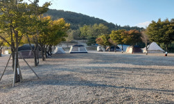 도내 산지 파헤친 불법 시설물·농경지