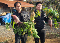 시흥시, 시범텃밭 교육 체험용 농작물 정왕푸드뱅크마켓센터에 지원