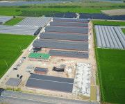 안성시 축산냄새 제로화 마스터플랜 눈길