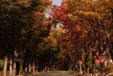 명품코스로 골퍼 눈길 잡은여주 솔모로CC