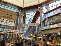 장 보는 겸 바뀐 도로교통법 알고 가세요
