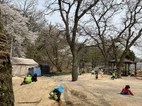 [혁신유치원] 양주 아름솔유치원