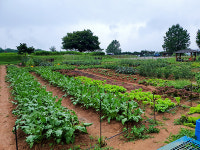 캠코 경기본부, 2022년 도심형 치유농장 사업 추진