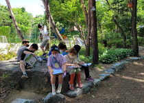 [HIGH 경기 학교] 안양신기초등학교