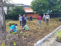 포천시 관인면 주민자치위, 주민센터 유휴부지에  해바라기 정원 조성