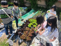 [HIGH 경기 학교] 군포 대야초등학교