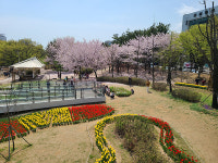 [기호일보 2022 연중기획] 인천 힐링 명소 중앙공원