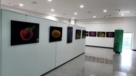 백두대간이 품어온 생명력 씨앗의 아름다움에 빠지다