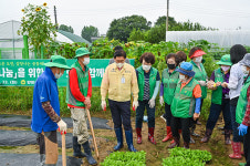 양평군새마을회, 사랑의 김장 나누기 배추 모종 3500포기 식재