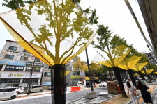 은행열매로 인한 악취 벗어나길