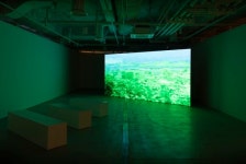 [전시 프리뷰] 자연과 공생 냉소하고 용서하는 전시 찬란하게 우리는 수원시립 아트스페이스 광교서