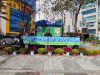 의왕시 내손1동 주민센터 앞마당 알록달록 국화꽃 장식 행인 눈요기