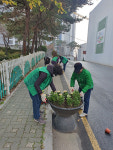 광명7동 새마을부녀회, 새터안로 12번길 등 2곳 꽃 심기 운동