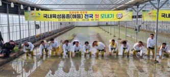 이천시 호법면 안평3리서  전국 첫 모내기…오는 6월 수확