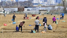 올해도 잘 자라길… 텃밭 가꾸기 분주한 주말