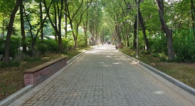 안양시 동안구, 부림동 보행자 녹지대에  영산홍·맥문동 2만 본 식재