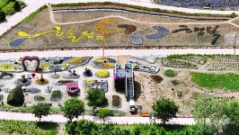 자라섬 꽃 축제 개막 5일만에 관람객 2만여 명 다녀가