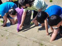 [교육의 기본 인성교육] 여주 금당초등학교