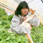 2.고양이 용품 만드는 농업회사법인 꼼냥