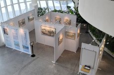 시흥 오이도로 오이소