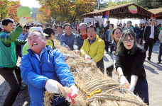 이천쌀문화축제 18일 팡파르