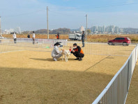 [반려문화 새 패러다임] 시흥시 동물 정책 눈길