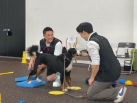 UTDT, 반려동물관리사자격증, CRC 재활운동지도사 온오프 과정 개강