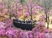 사계절 4色 매력 부천