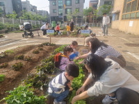 광명시 구름산유치원 꼬마 농부들 직접 키운 채소 어려운 이웃에 전달