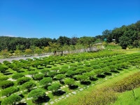 군포시민 95% 함백산추모공원 이용에 만족