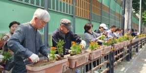 인천시 계양구 효성2동 주민자치회, 북인천여중 등굣길 꽃길 조성