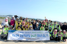 서강화농협, 강화 교동면 난정리 해바라기마을서 일손 돕기