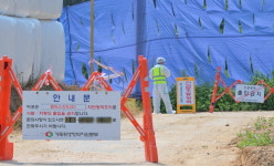 안성 한우농장서 럼피스킨 확진