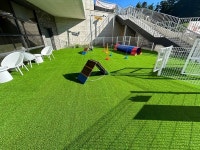 반려동물 친화관광도시 포천, 관광정보센터 내 반려동물 웰컴센터 조성