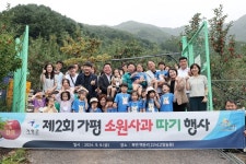 가평군, 북면 백둔리 농장서 제2회 소원사과 따기 행사 개최