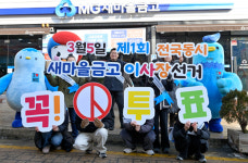 새마을금고 선거 중반 불법으로 얼룩