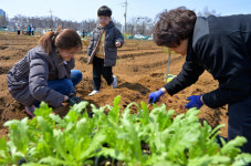 파릇한 새싹을 심는 손길