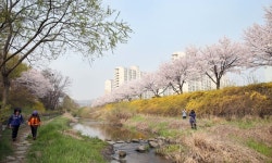 번화가인 듯 자연인 듯 바다 품은 도심 속 공원