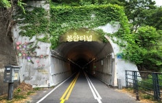 애민·실용 다산과 함께하는 남양주시