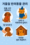 반려동물 건강한 겨울나기 비법 알려 줄게요