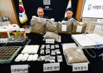 주택·상가 임차해 대마 재배… 일당 4명 구속 기소