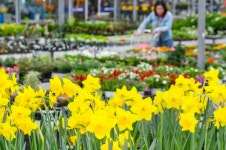 [다음 주 날씨] 인천·경기, 봄기운 더 짙어진다…주 중반 비·미세먼지 변수
