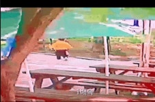 인천 한 공원서 2살 아이 폭행한 60대 男 경찰 수사 착수