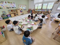 김포대명초 병설유치원, 직접 키운 오이로 김치 담그기 체험