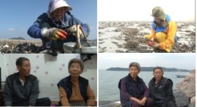 [OBS 멜로다큐 가족] 서산의 작은 섬, 분점도 노부부의 망향가