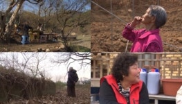 [OBS 로드다큐 만남] 비밀의 골짜기, 즘골 마을의 숨겨진 이야기