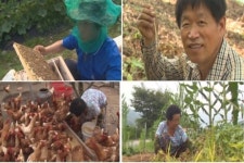 [OBS '로드다큐 만남'] 용문산의 숨은 비밀, 각양각색 양평군 사람들 이야기
