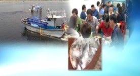 위기의 서해 5도 서울상륙작전…수산물 장터 인기