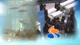 어떤 물고기가 살까…경기도 시흥 우리물고기학교