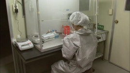 경기 안성천 야생조류 분변서 또 H5N8형 AI 검출